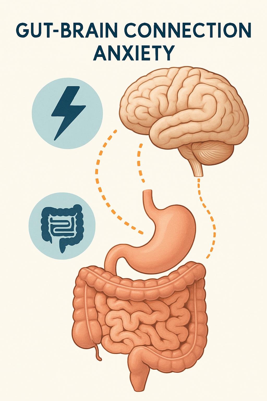 The Link Between Gut Health and Anxiety